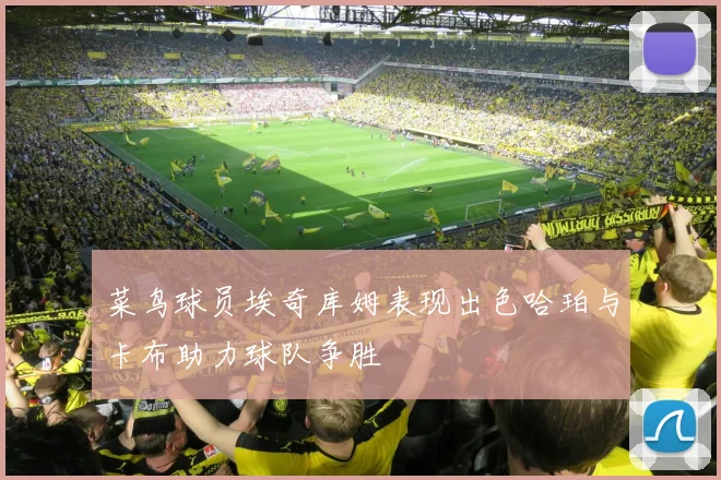 菜鸟球员埃奇库姆表现出色哈珀与卡布助力球队争胜