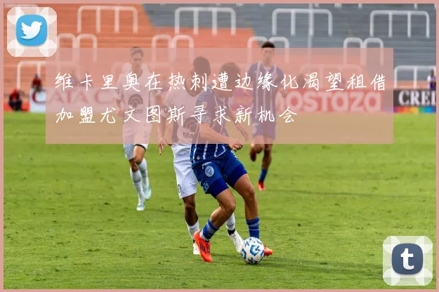 维卡里奥在热刺遭边缘化渴望租借加盟尤文图斯寻求新机会