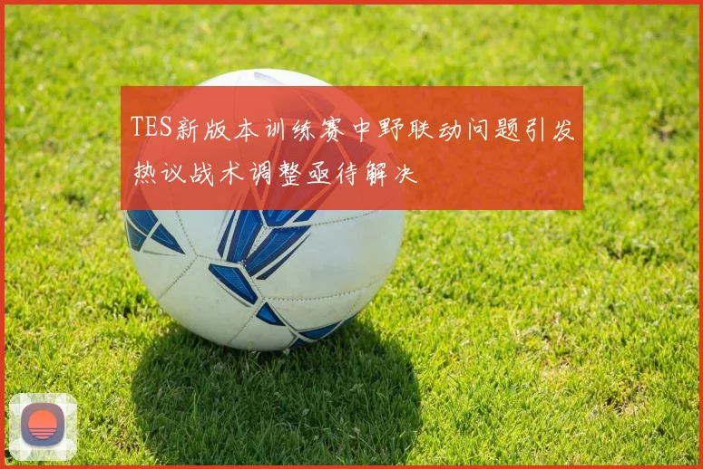 TES新版本训练赛中野联动问题引发热议战术调整亟待解决