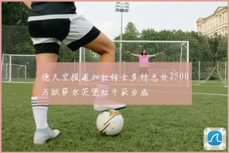 德天空报道加杜转会多特总价2500万欧萨尔茨堡红牛获分成